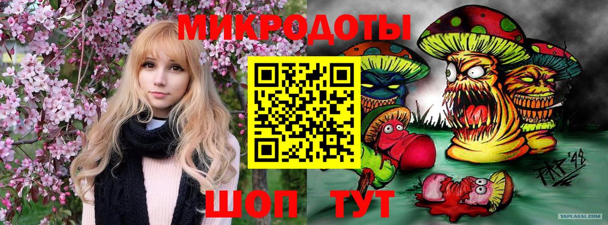 Галлюциногенные грибы мицелий  Псилоцибиновые грибы ЛСД  наркотики  Ессентуки  Вход с VPN 